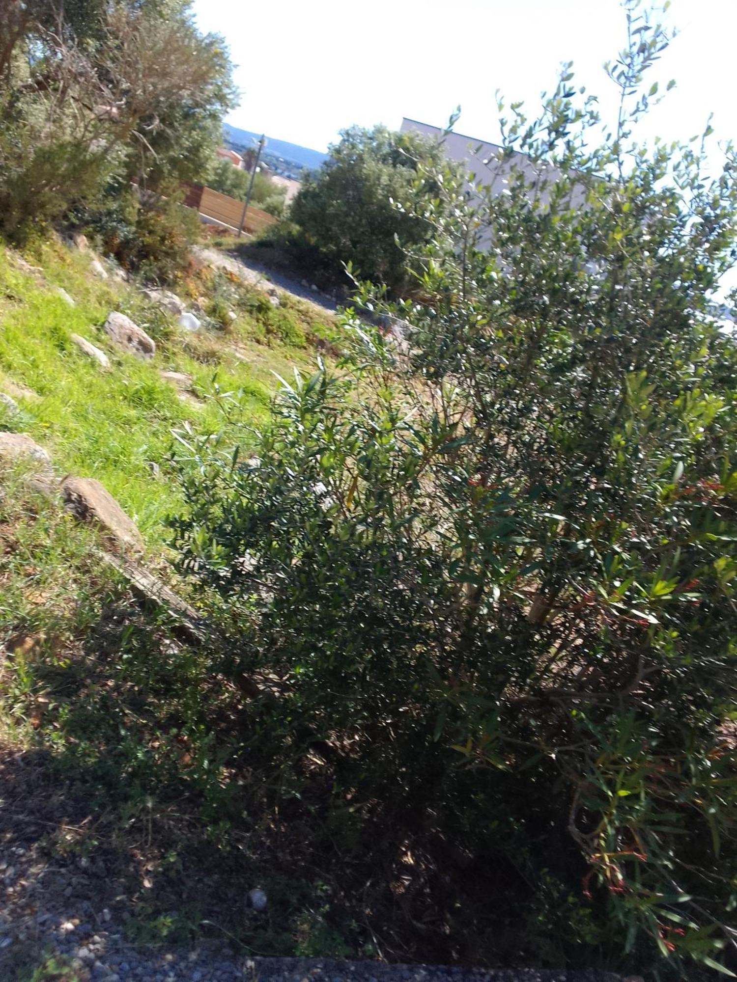 Gite De L'Etang Proche Des Grands Buffets Narbonne Eksteriør billede